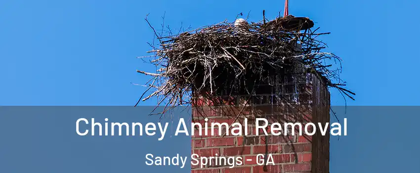 Chimney Animal Removal Sandy Springs - GA