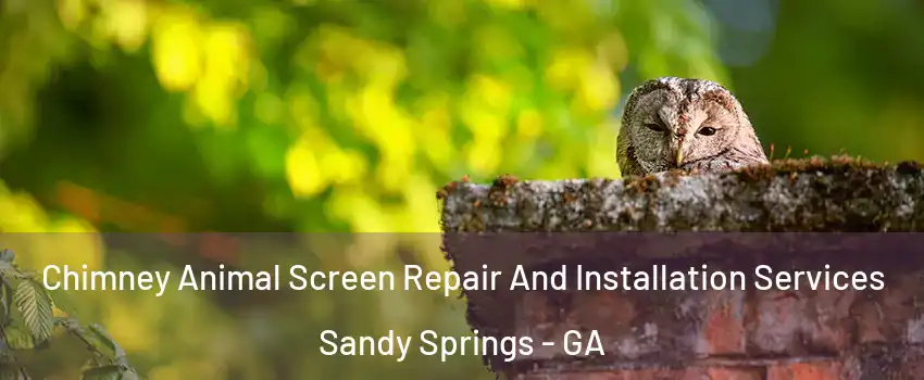  Chimney Animal Screen Repair And Installation Services Sandy Springs - GA