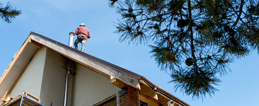 Birds Removal Contractors from Chimney in Sandy Springs, GA