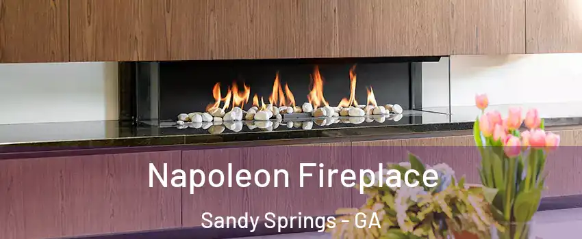  Napoleon Fireplace Sandy Springs - GA